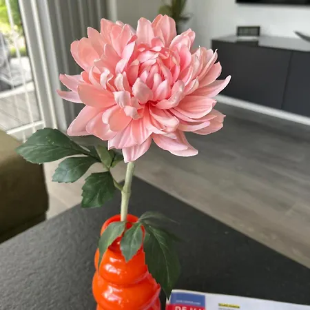 Chalet Luxus Time Out De Veerstal *