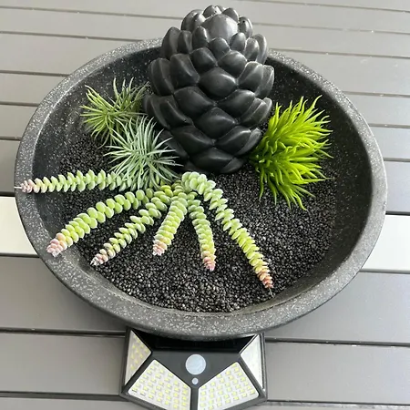 Luxus Time Out De Veerstal