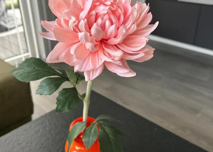 Chalet Luxus Time Out De Veerstal *