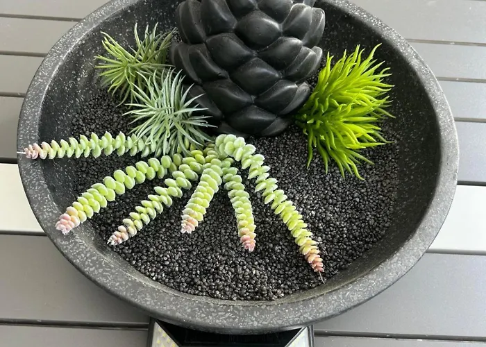 Luxus Time Out De Veerstal